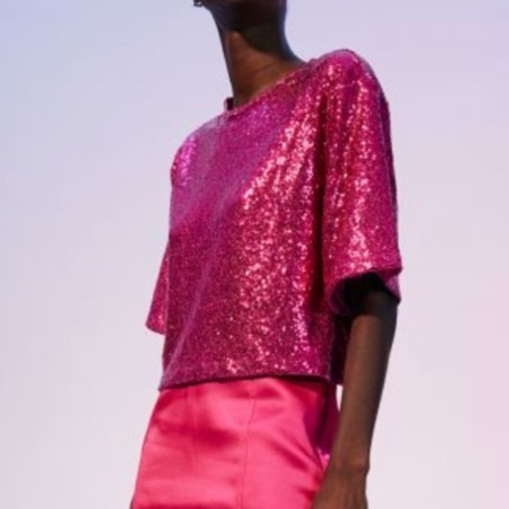 NWT H&M Women’s Size Small Pink Sequin Crop Top